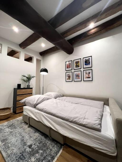 Donaublick Apartment Pasov Exteriér fotografie